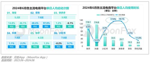 2024年第二季度移動互聯網行業數據研究報告 互聯網數據服務洞察